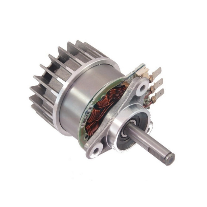 Moteur électrique pour tondeuse / tronçonneuse Stihl (12506000200)