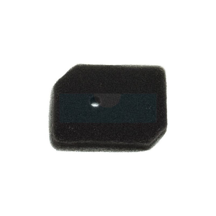 Filtre à air pour moteur Honda (17211896700)