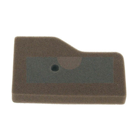 Filtre à air pour moteur Honda (17211Z07000)