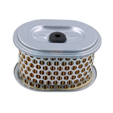 Filtre à air pour moteur Kohler (1808304)