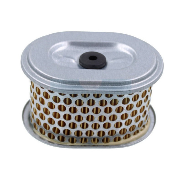 Filtre à air pour moteur Kohler (1808304)