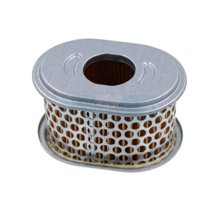 Filtre à air pour moteur Kohler (1808304)