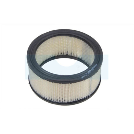 Filtre à air pour moteur Kohler (271519)