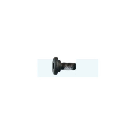 Vis de volant magnétique pour tronçonneuse Partner (501819903)