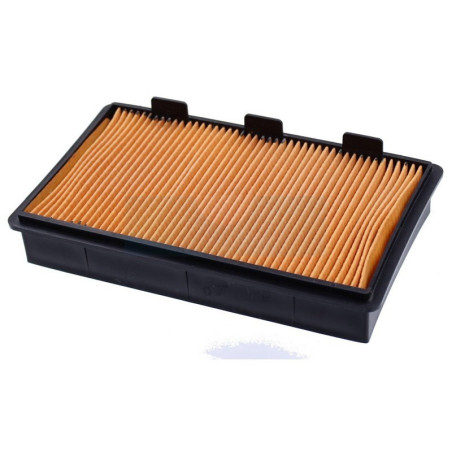Filtre à air pour moteur Robin (2513283112)