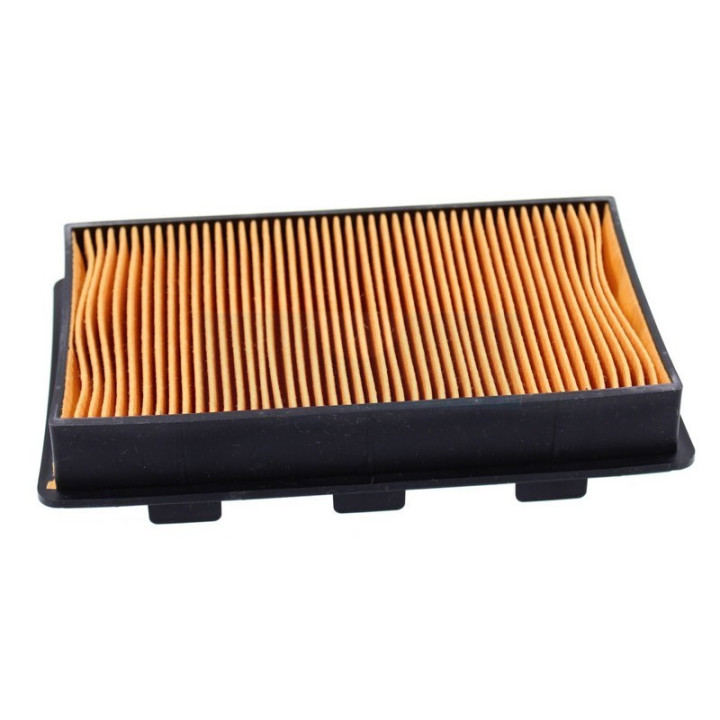 Filtre à air pour moteur Robin (2513283112)