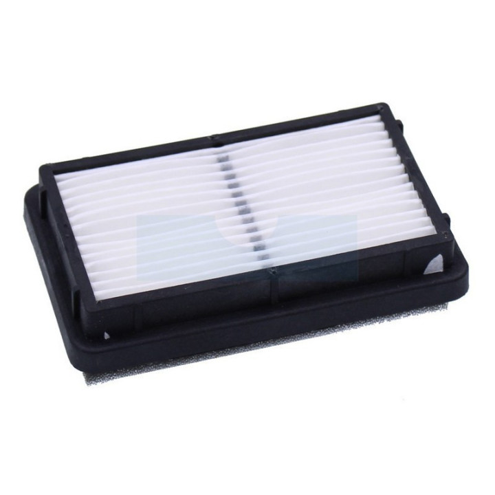 Filtre à air pour moteur Robin (2823260107)