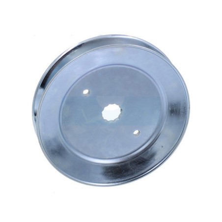 Poulie de palier pour tracteur tondeuse Flymo (129206)