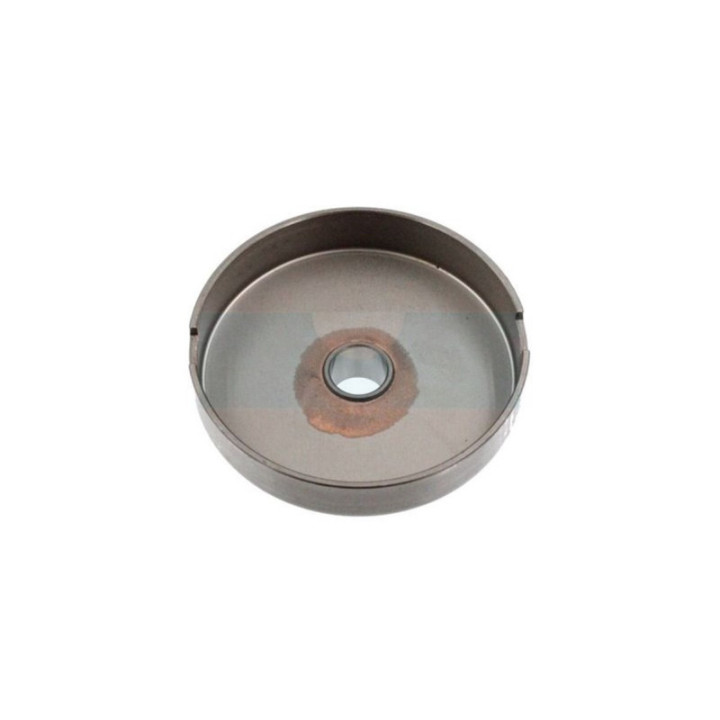 Pignon pour tronçonneuse Shindaiwa (A556001121)
