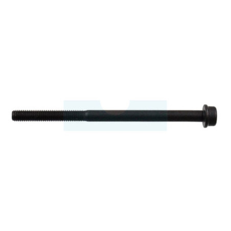 Vis d'échappement pour tronçonneuse Husqvarna (503200280)