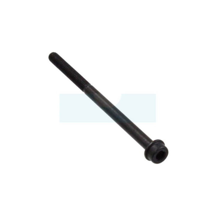 Vis d'échappement pour tronçonneuse Husqvarna (503200280)