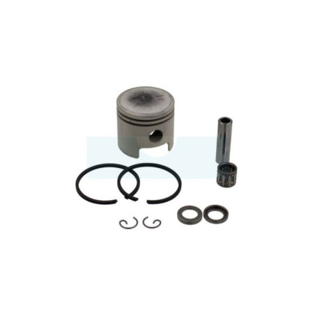 Piston pour Echo (P021047540)