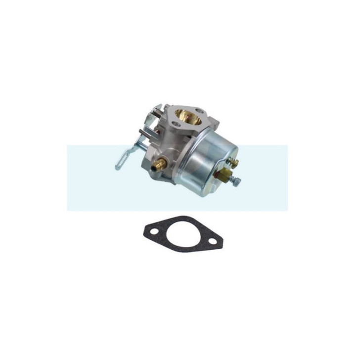 Carburateur pour moteur Tecumseh (640260)