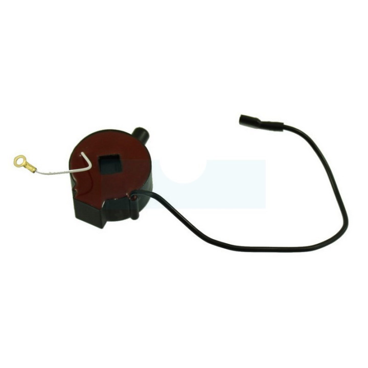 Bobine d'allumage pour moteur Bernard (496328)