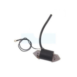 Bobine d'allumage pour moteur Bernard (013549)