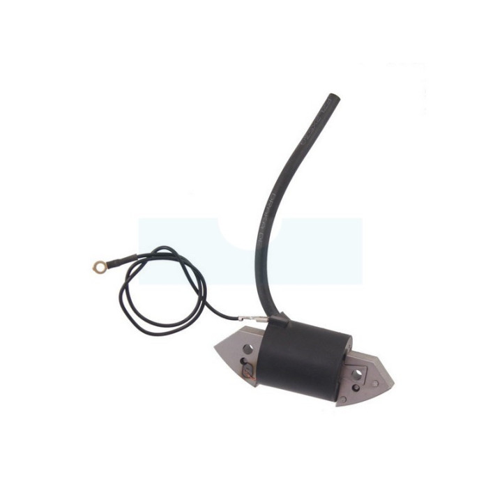 Bobine d'allumage pour moteur Bernard (013549)