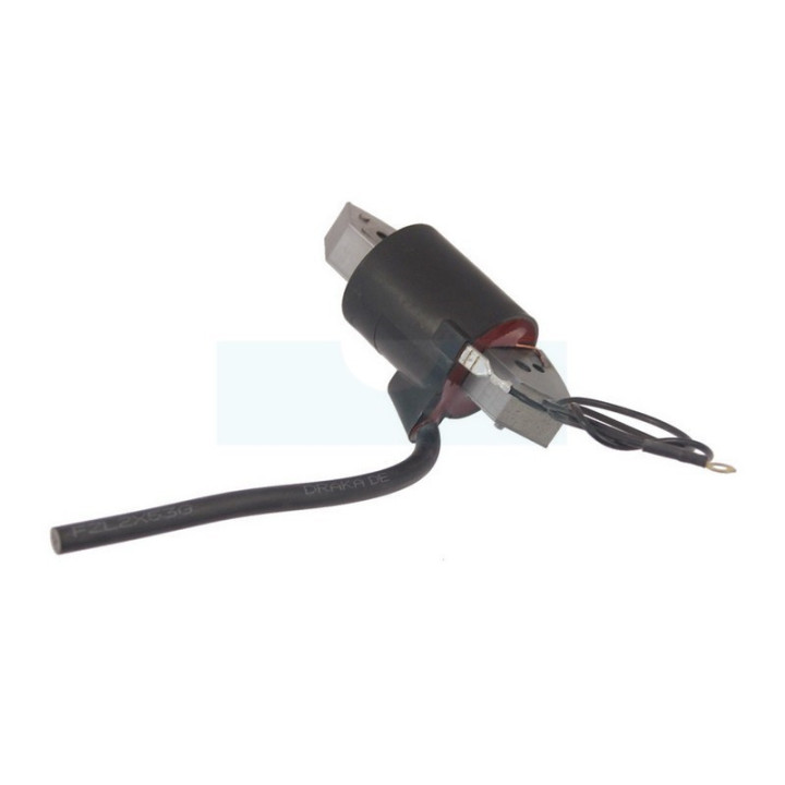 Bobine d'allumage pour moteur Bernard (013549)
