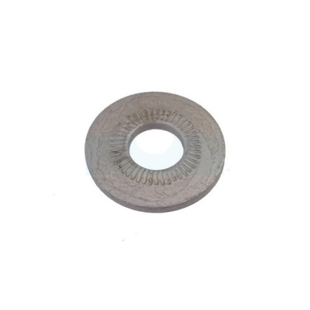 Disc (2) pour AS Motor (E06882)