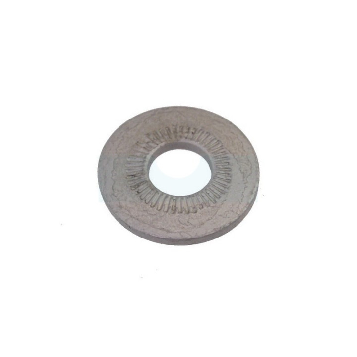 Disc (2) pour AS Motor (E06882)