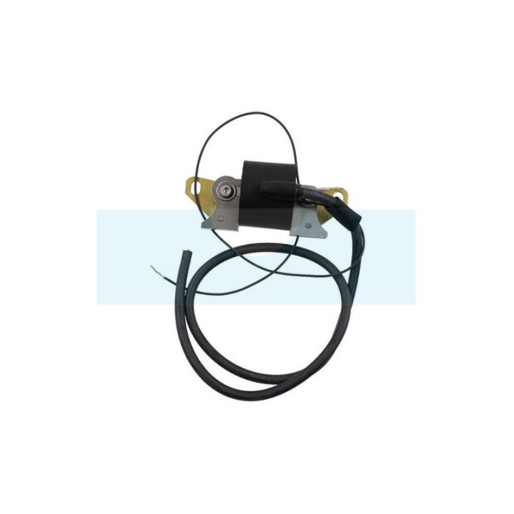 Bobine d'allumage pour moteur Lombardini (1567009)