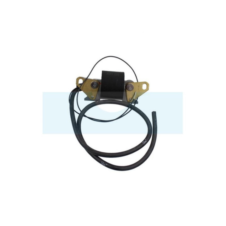 Bobine d'allumage pour moteur Lombardini (1567009)