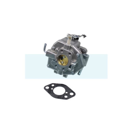 Carburateur pour moteur Briggs & Stratton (809011)