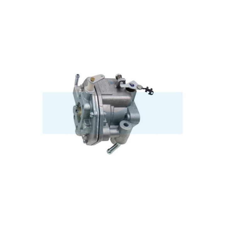 Carburateur pour moteur Briggs & Stratton (809011)