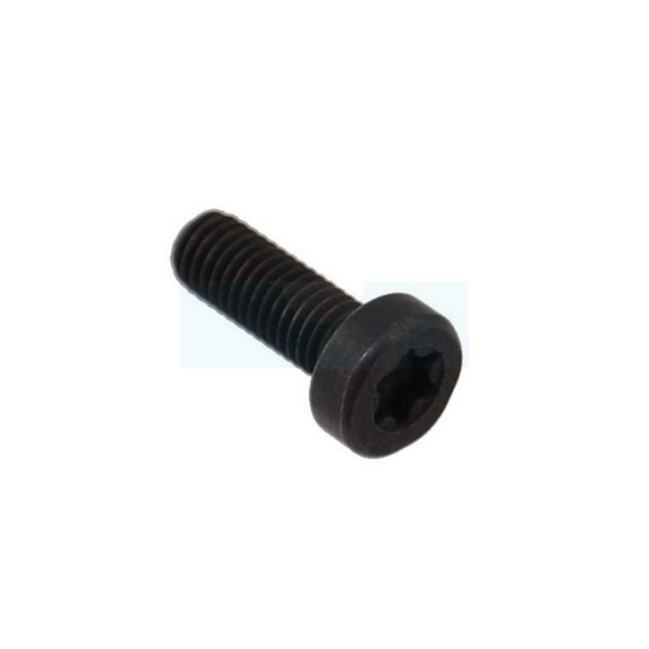Boulon pour tronçonneuse Husqvarna (521516201)