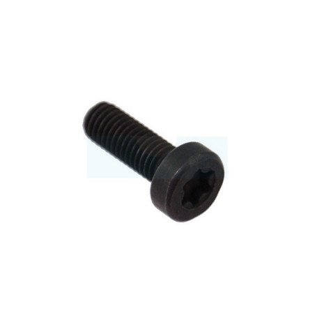 Boulon pour tronçonneuse Jonsered (521516201)