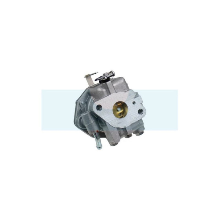 Carburateur pour moteur Briggs & Stratton (809011)