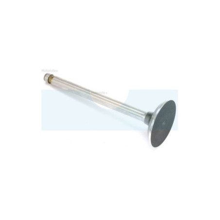 Soupape d'échappement pour moteur Bernard (010039)