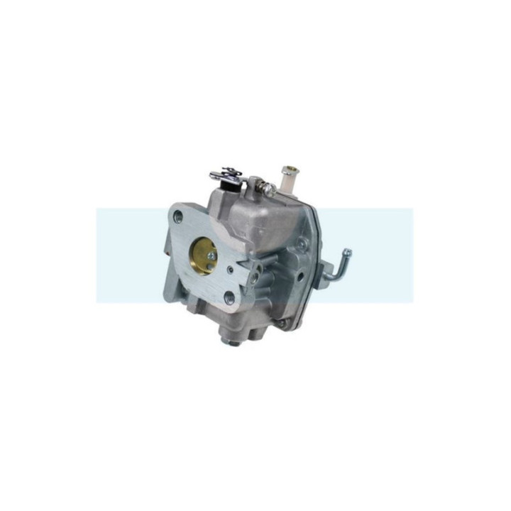 Carburateur pour moteur Briggs & Stratton (809011)