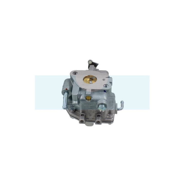 Carburateur pour moteur Briggs & Stratton (809011)
