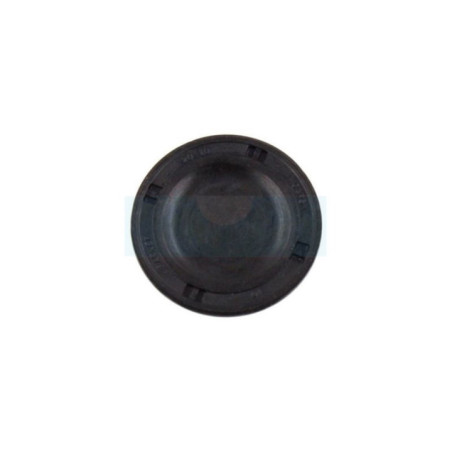 Bouchon pour boîte de vitesse Tuff Torq (1A637024350)