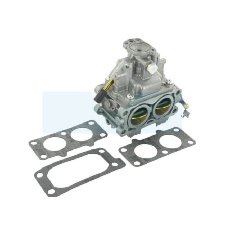 Carburateur pour moteur Briggs & Stratton (844369)