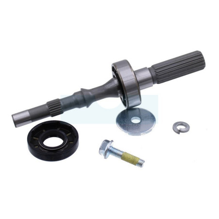 Kit arbre de pompe/roulement pour boîte de vitesse Tuff Torq (1A646099980)