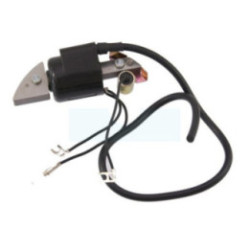 Bobine d'allumage pour moteur Honda (30500887303)