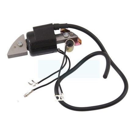 Bobine d'allumage pour moteur Honda (30500887303)