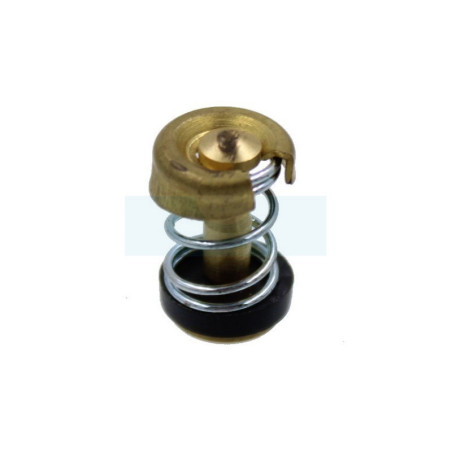 Purge de carburateur pour moteur Tecumseh (27136)