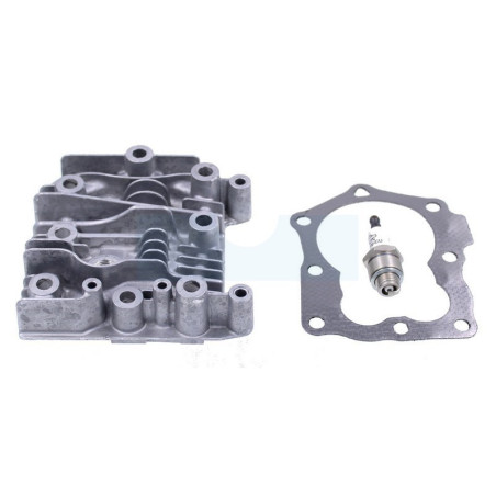 Culasse pour moteur Briggs & Stratton (691160)