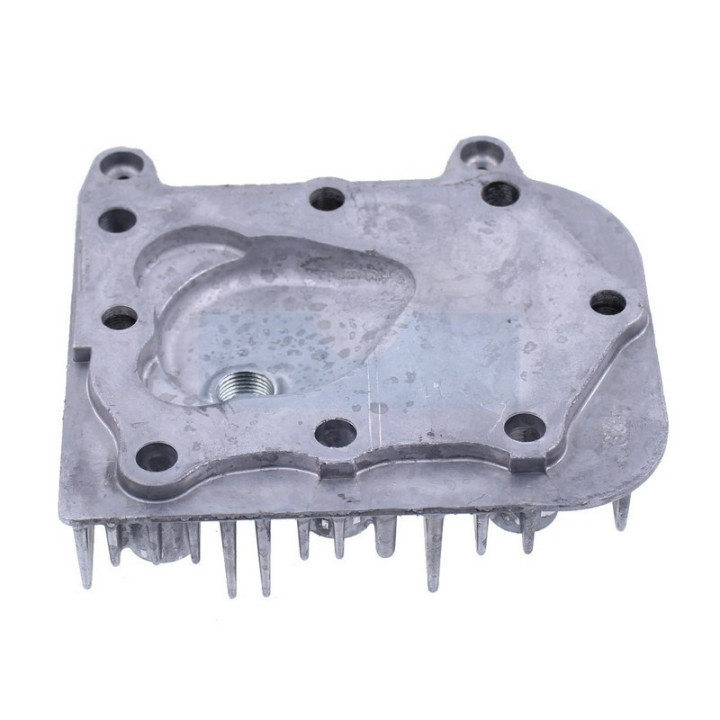 Culasse pour moteur Briggs & Stratton (691160)