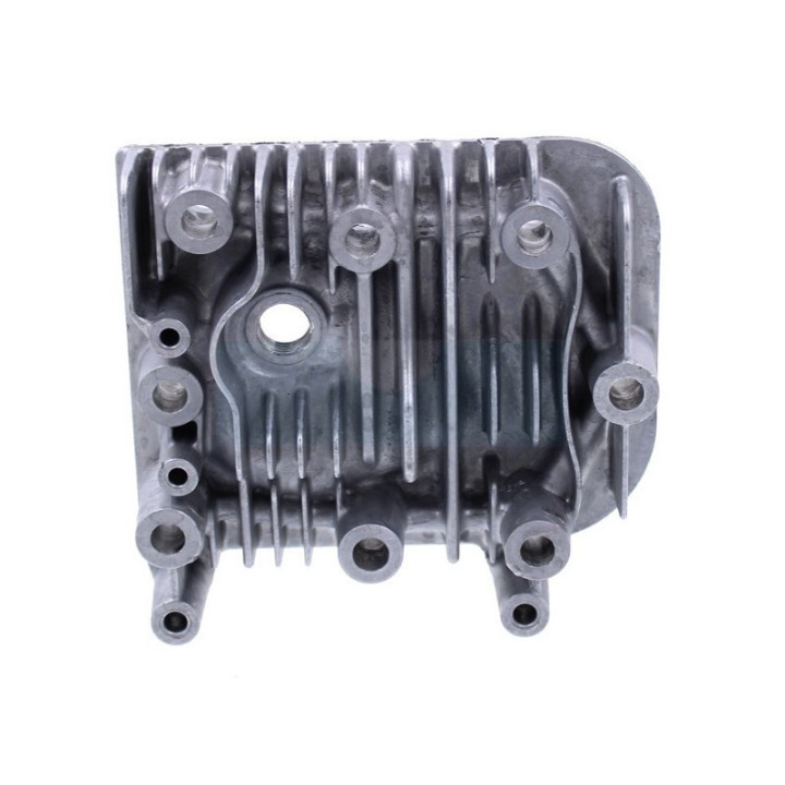 Culasse pour moteur Briggs & Stratton (691160)