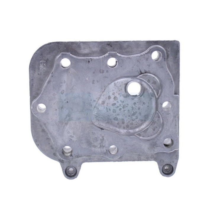 Culasse pour moteur Briggs & Stratton (691160)
