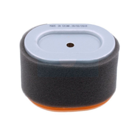 Filtre à air pour moteur Briggs & Stratton (796970)