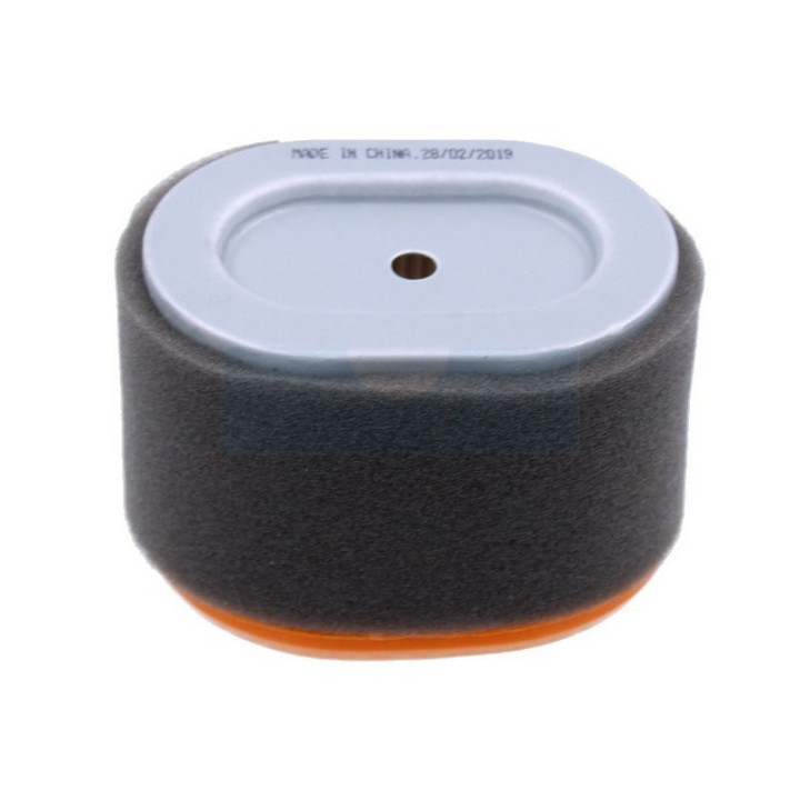 Filtre à air pour moteur Briggs & Stratton (796970)