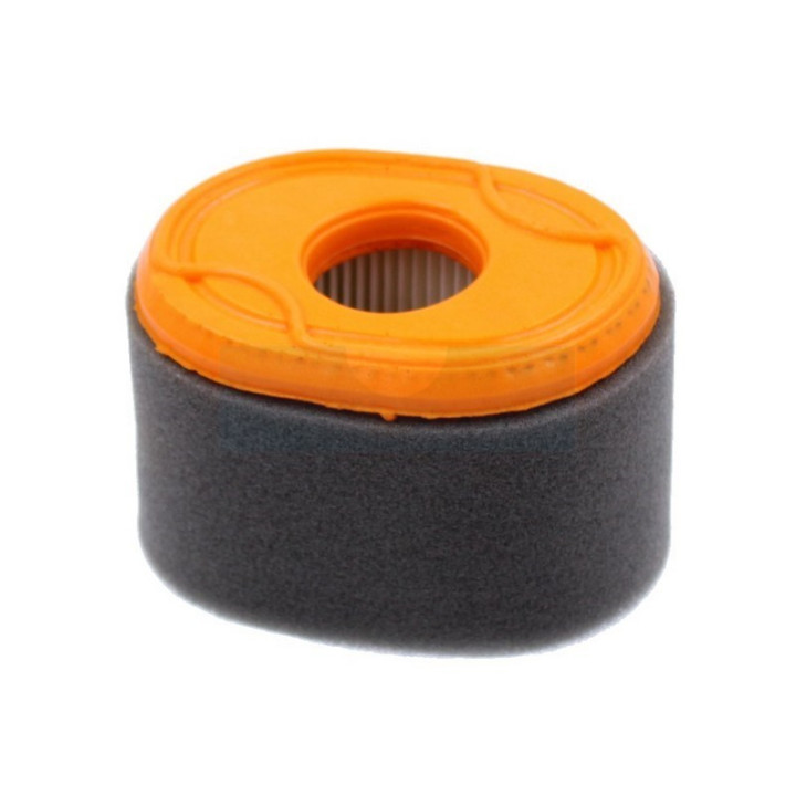 Filtre à air pour moteur Briggs & Stratton (796970)
