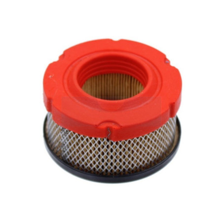 Filtre à air pour moteur Briggs & Stratton (5424)