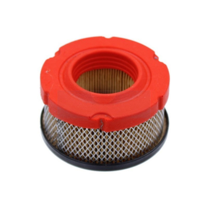 Filtre à air pour moteur Briggs & Stratton (5424)
