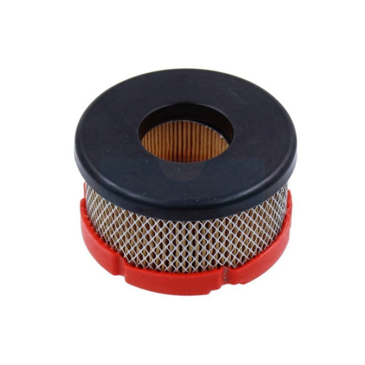 Filtre à air pour moteur Briggs & Stratton (5424)