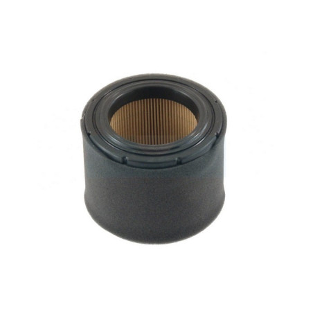 Filtre à air pour moteur Kawasaki (110290019)